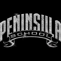 GLT37 SILVER GLITTER Thumbnail