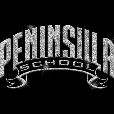 GLT37 SILVER GLITTER Thumbnail