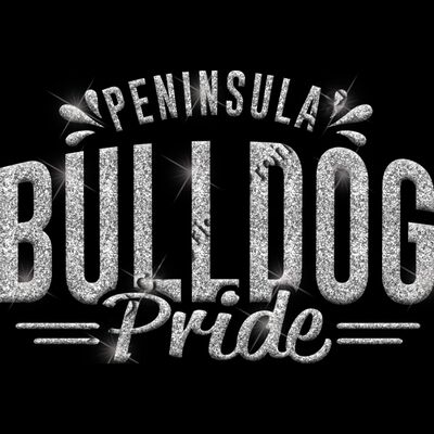 GLT62 SILVER GLITTER Thumbnail